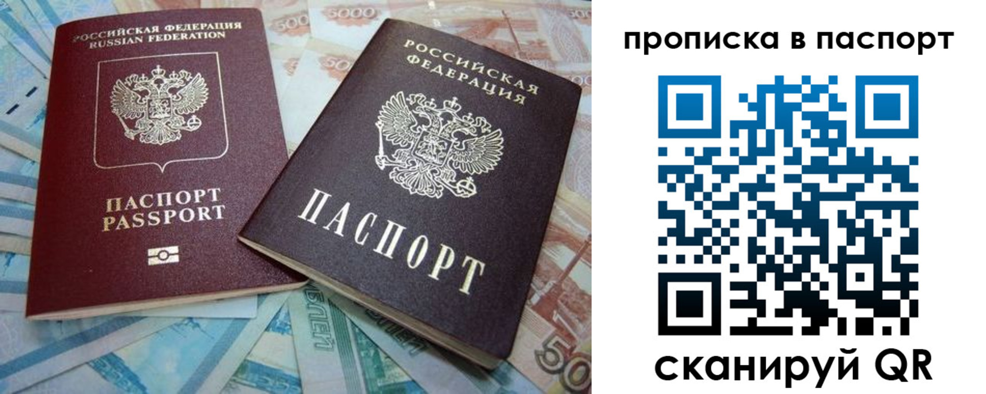 прописка поиск в Козельске